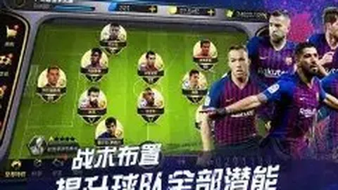 維爾納生涯概览